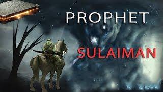 #THE STORY OF PROPHET SULAIMAN#