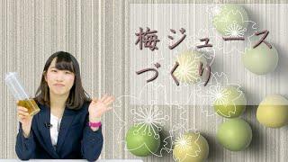 Making plum juice!Japanese Food Recipes TV