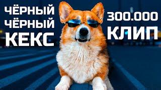 Корги Кекс - ЧЕРНЫЙ ЧЕРНЫЙ КЕКС!! (Official music video) 300к КЛИП!!