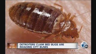 Detroiters claim bed bugs are invading city buses