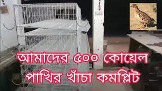 আমাদের ৫০০ কোয়েল পাখির খাঁচা কমপ্লিট | কোয়েল পাখি পালন