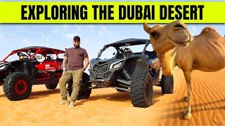 CAMELS AND CAN-AMS IN THE DUBAI DESERT!