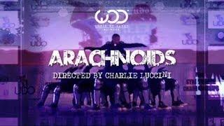 THE MISFITS - ARACHNOÏDS @ UDO WORLD STREET DANCE CHAMPIONSHIP 2011