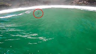 Surfing in Shark Infested Waters (Cape Town)