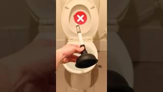 DIY blocked toilet fix