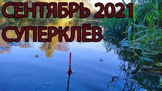 Первая рыбалка в сентябре 2021, отличный клёв на новых местах!