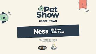 Melbourne Dog Show 2023 - Big Paws Little Paws Dog Grooming - Day 2 - Professional Grooming Tips