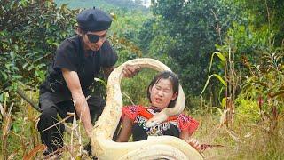 Mutant Life - Giant python attacks ethnic girl | Mutant catches snakes and quails in the forest