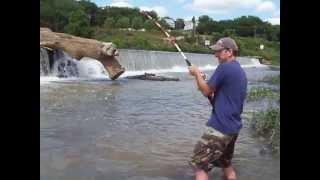 River Flathead Catfishing