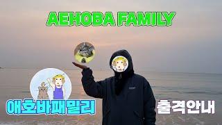 안녕하세요 "채널 갈아엎습니다" 애호바패밀리 AEHOBA FAMILY 출격 안내 | 동거커플 브이로그, 고양이 집사 유튜버 [VLOG]