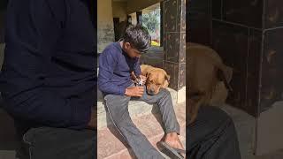 it's time to cut Alexa nails || adarsh Tiwari vlog || #dailyshorts #shorts