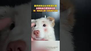 极光新闻