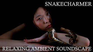 Relaxing Musical Soundscape - Snakecharmer - Layered Organ Tones - Slow/Pulsing Beat - Psychedelic