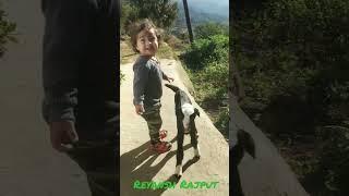 reyansh Rajput with baby goat  beautiful movements  #reels #youtube #viral #shorts #youtubeshorts