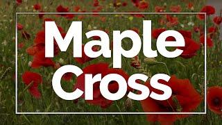 Maple Cross, England, UK (Blooming Poppy)