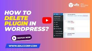 How to delete Plugin in WordPress?