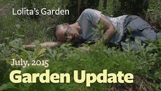 July 2015 | Garden Update