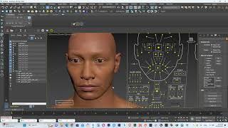 metahuman facial rigging in max with python and maxscript