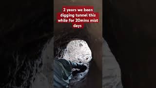 dogs tunnel spring 25 #germanshepard