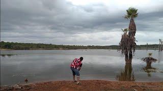 Plantio de Feijão, melancia e mandioca. mostrando nosso sítio