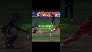 Lion truly belong to cat family | #shorts #cricket #icc #ipl #bcci