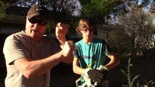 Chainsaw Safety Basics