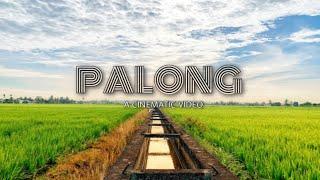 SEKINCHAN | PALONG | CINEMATIC | IPXR