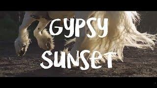 Gypsy Sunset | Gypsy cob Hermits Titanium & Arina Libontova