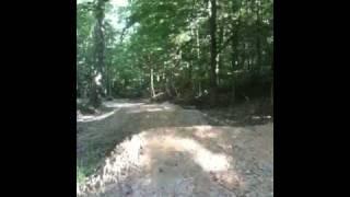 Corey Radcliff pitbike whip
