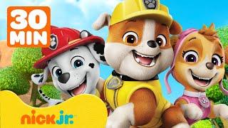 Rubble & Crew | ¡Rubble y Marshall salvan al bosque y realizan rescates!| 30 minutos | Nick Jr.