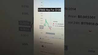 If You Bought $100 Of Xrp #xrp #shibainu #shib #elonmusk #cryptocurrency #nft