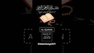 Al-Quran (hm Allah ki namty janty hoya bi Allah ki nashukri krty hn) #astaghfirullah #allah #Quran