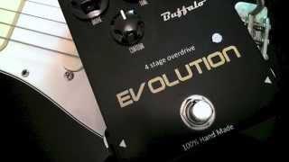 Buffalo FX Evolution review