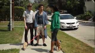 NYTVF 2012 Trailer: Funemployment