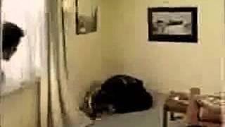 Nokia 3650 Commercial TV Ad - Cat Caught On A Fan.mp4