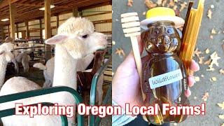 Top 3 Local Farms to Visit in Oregon! | Alpaca Farm, Local Honey & Pie | Places to Explore in Oregon