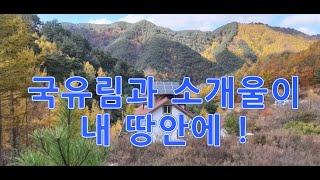 평창 국유림 산속 소개울낀 수련원 펜션용 전원주택-강원도평창부동산전원농가주택시골집펜션부지토지땅매매물공인중개사