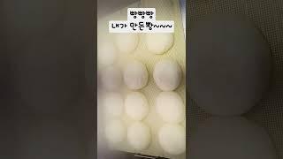 찐빵 만들기~~!!