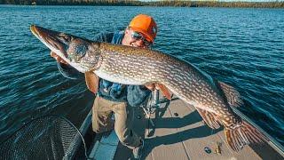 Big Baits For Big Pike