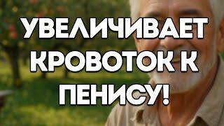 После 60: 4 Упражнения, Улучшающие Кровообращение И Эректильную Функцию По Мнению Уролога