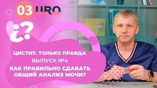 Как правильно сдавать общий анализ мочи?