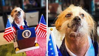 The Cutest President is a Dog 