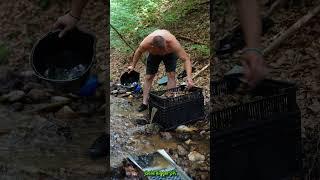 Real Gold Found! Multiple Beautiful Nuggets in a Mountain Stream Near an Old Mine