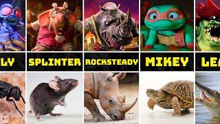 TMNT: Mutant Mayhem Characters in Real Life