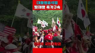 전국적 국민저항권 거리 행진 #이재명 #대통령윤석열 #탄핵무효 #국민저항권 #거리행진 #국민저항행진