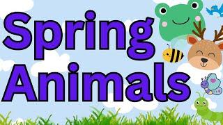 Spring Time Animals | Interesting Facts about animals in the spring |  Children's Educational Video