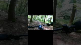 Hometrail Session | Ebertrail | Training Lap #mtb #hometrail #season #training