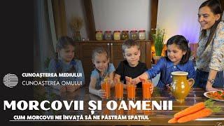 Morcovii și oamenii - Cum morcovii ne învață să ne păstrăm spațiul