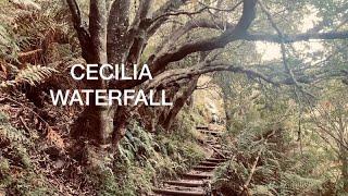 Cape Town Adventure 3: Cecilia Waterfall and Forest