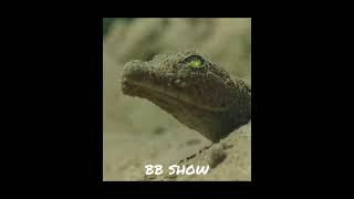 Chronicles Whatsapp Status️Animal Glow Up _Godzilla @godzilla @tiktok_Full-HD #shorts ️